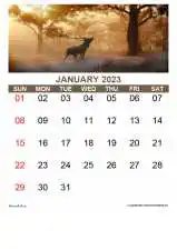 Blank Yearly Calendar With Top Image Portrait 2023